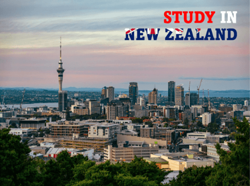 study-in-nz